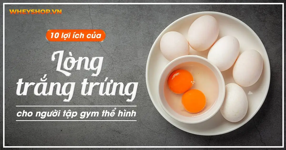 10 lợi ích của lòng trắng trứng cho người tập gym thể hình