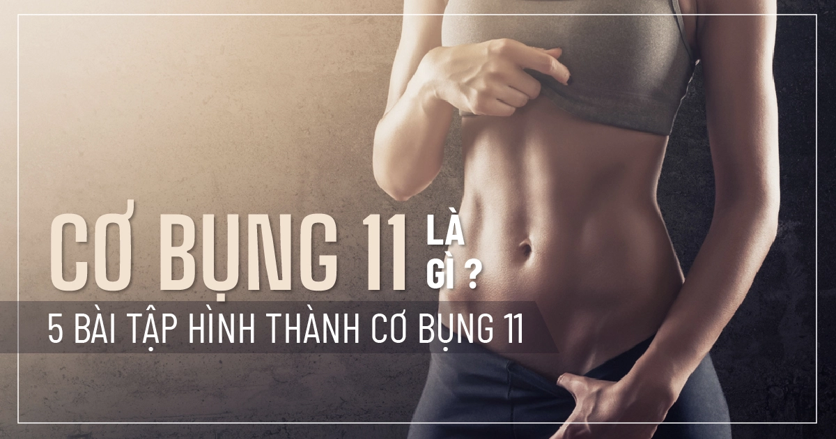 Cơ bụng 11 là gì ? 5 Bài tập hình thành cơ bụng 11