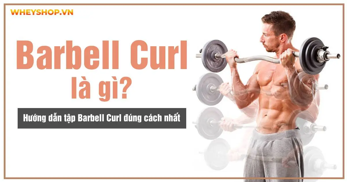 Barbell Curl là gì? Hướng dẫn tập Barbell Curl đúng cách nhất
