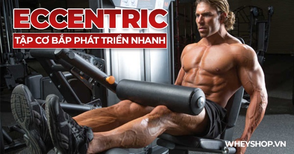 Eccentric là gì ? Phương pháp tập tăng cơ hiệu quả mới nhất