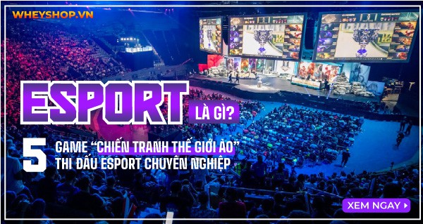 Esport là gì? 5 Game “chiến tranh thế giới ảo” thi đấu Esport chuyên nghiệp