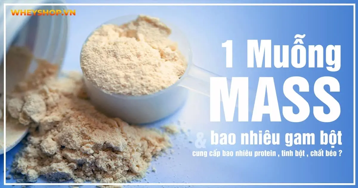 1 Muỗng Mass bao nhiêu gam bột và cung cấp bao nhiêu protein, tinh bột, chất béo?