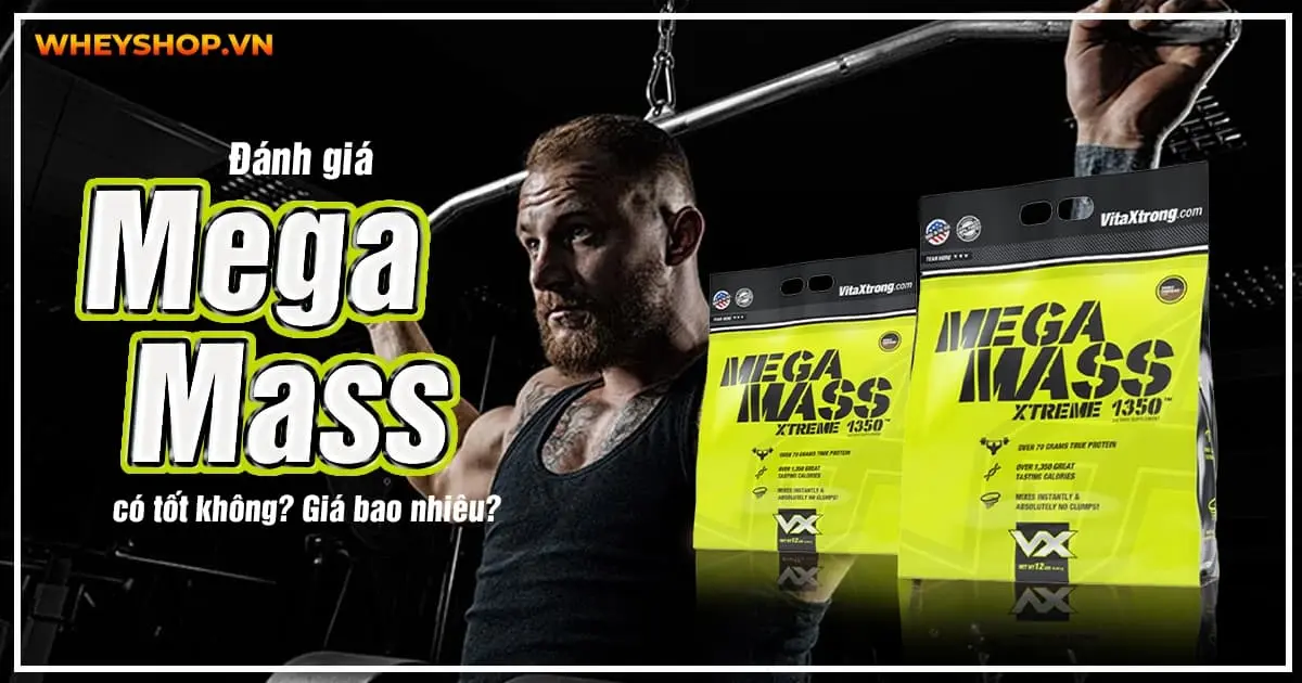 Đánh giá Mega Mass Xtreme 1350 có tốt không? Giá bao nhiêu?