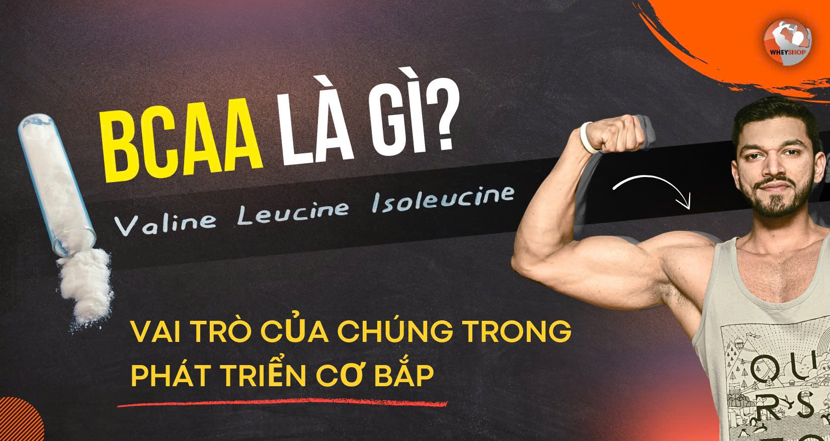 BCAA là gì? Vai trò của Leucine – Valine – Isoleucine trong phát triển cơ bắp