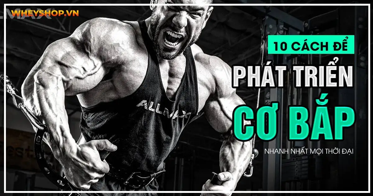 10 cách để phát triển cơ bắp nhanh nhất mọi thời đại
