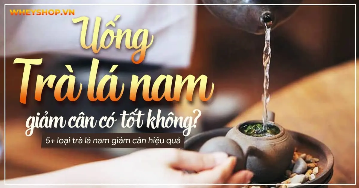 Uống trà lá nam giảm cân có tốt không? 5+ loại trà lá nam giảm cân hiệu quả