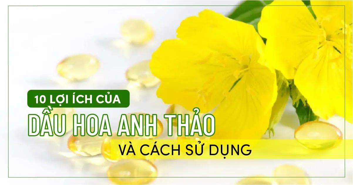 10 lợi ích của dầu hoa anh thảo và cách sử dụng