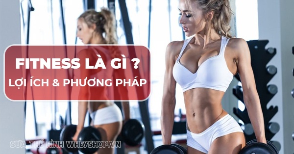 Fitness là gì ? Tiêu chí, lợi ích, phương pháp tập Fitness
