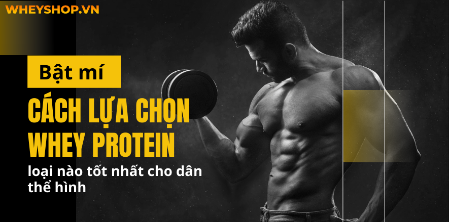 Bật mí cách lựa chọn Whey protein loại nào tốt nhất cho dân thể hình