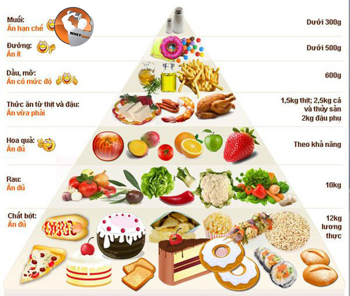 Những điều cần lưu ý khi tập gym body nữ hiệu quả