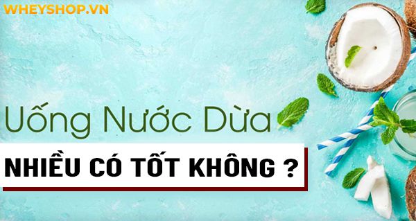 Giải đáp thắc mắc: Uống nước dừa nhiều có tốt không?