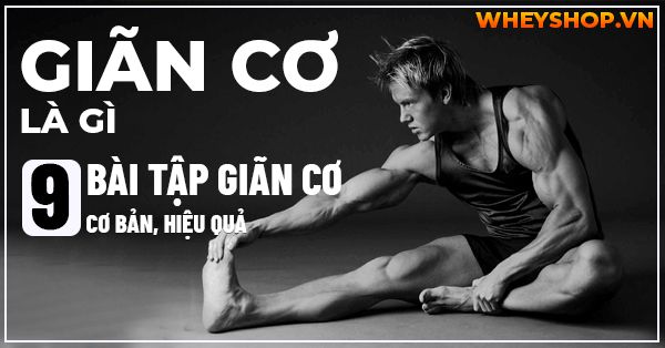 Giãn cơ là gì? Hướng dẫn 9 bài tập giãn cơ cơ bản, hiệu quả