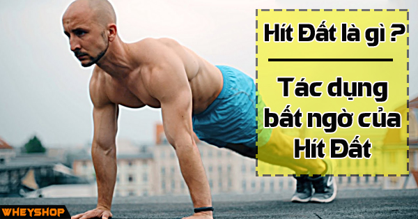 Hít đất là gì ? Tác dụng bất ngờ của hít đất