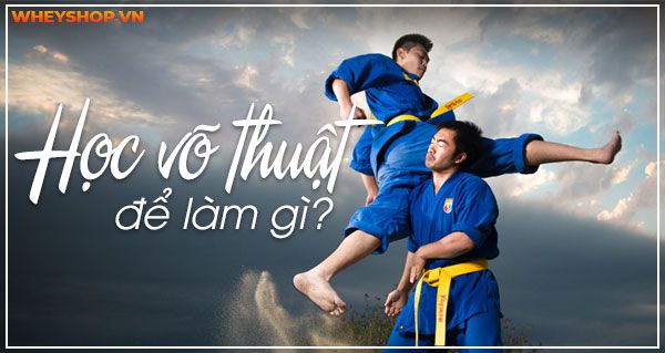 Học võ thuật để làm gì? Hướng dẫn cách học võ tại nhà hiệu quả nhất