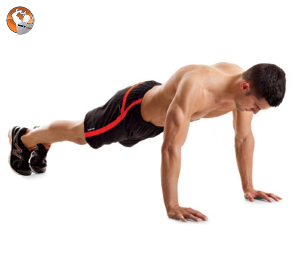 10 bài tập hít đất tại nhà cho nam giới tăng cơ nhanh, cơ ngực phát triển