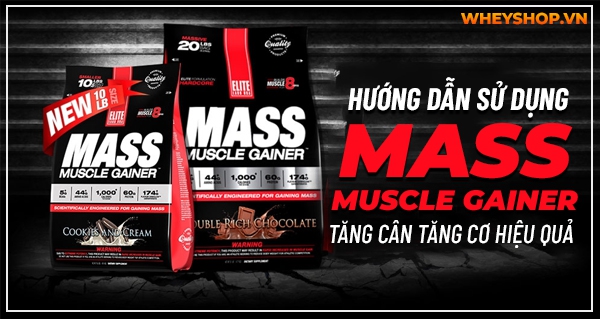 Hướng dẫn sử dụng Mass Muscle Gainer Elite Labs tăng cân tăng cơ hiệu quả
