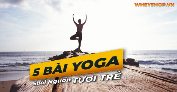 Hướng dẫn tập đúng cách 5 bài tập yoga suối nguồn tươi trẻ