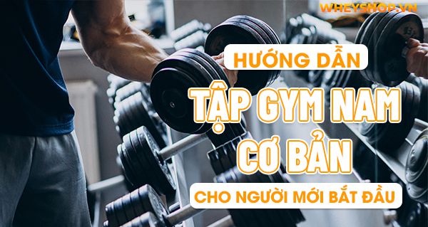 Hướng dẫn tập gym nam cơ bản cho người mới bắt đầu