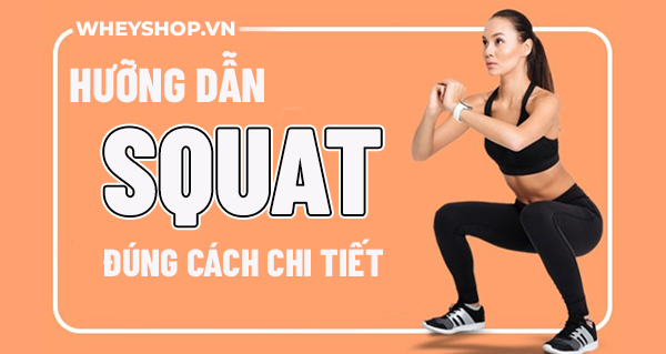 Hướng dẫn tập squat đúng cách chi tiết nhất
