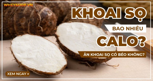 Giải đáp: Khoai sọ bao nhiêu calo? Ăn khoai sọ có béo không?