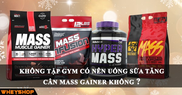 Không tập gym có nên dùng Mass không?