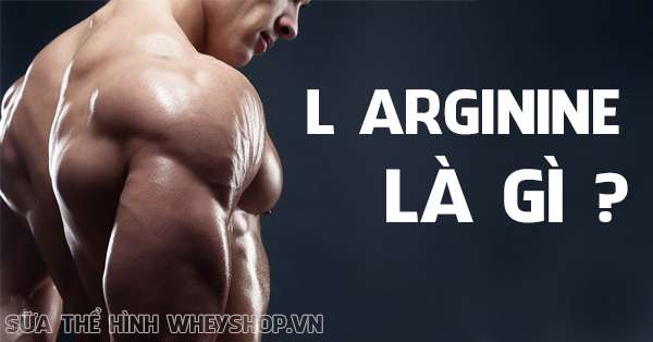 Arginine là gì ? Vai trò của Arginine trong tập gym, thể hình