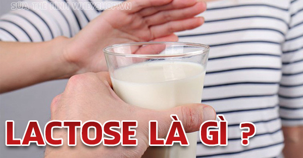 Lactose là gì? Tác hại, lợi ích và cách chọn sữa không lactose
