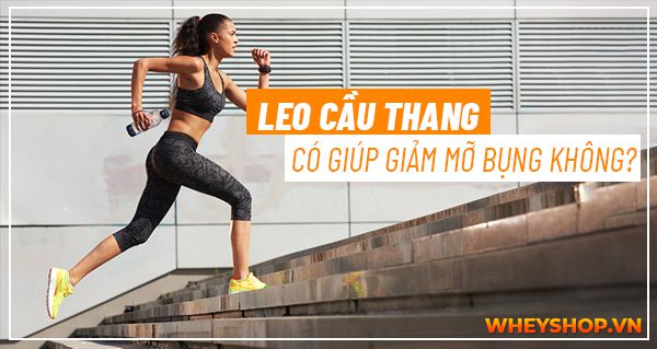 Leo cầu thang có giúp giảm mỡ bụng không? Lợi ích của việc leo thang bộ có thể bạn chưa biết