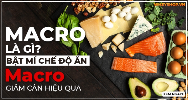 Macro là gì? Bật mí chế độ ăn Macro giảm cân hiệu quả