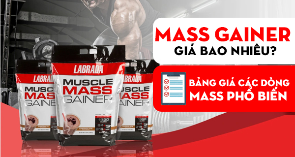 Mass Gainer giá bao nhiêu? Bảng giá các dòng mass phổ biến