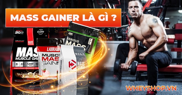 Mass Gainer là gì ? Cách dùng và lợi ích sử dụng Mass Gainer hỗ trợ tăng cân tăng cơ