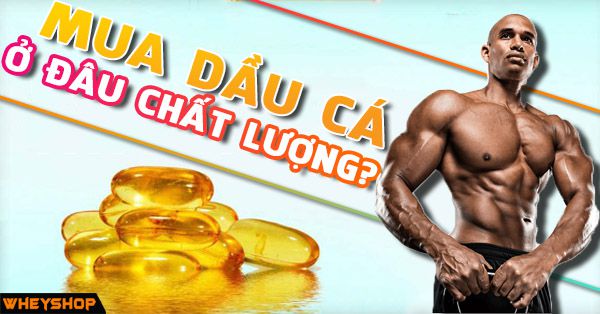 Mua dầu cá Omega 3 6 9 ở đâu chất lượng