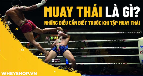 Muay Thái là gì? Những điều cần biết trước khi tập Muay Thái