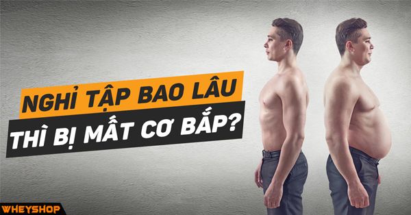 Nghỉ tập gym bao lâu thì mất cơ bắp và câu trả lời