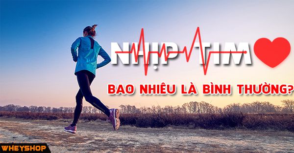 Nhịp tim chuẩn của người bao nhiêu là bình thường