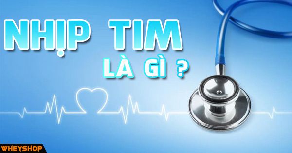 Nhịp tim là gì? Cách tính nhịp tim với công thức ra sao?