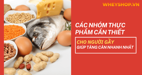 Các nhóm thực phẩm cần thiết cho người gầy giúp tăng cân nhanh nhất