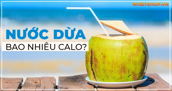 Nước dừa bao nhiêu calo? Uống nước dừa có béo không?