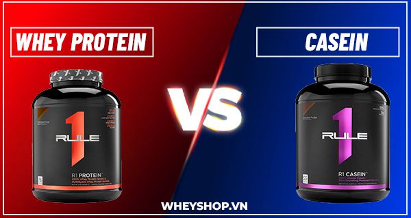Phân biệt sự khác nhau giữa Casein Protein và Whey Protein 