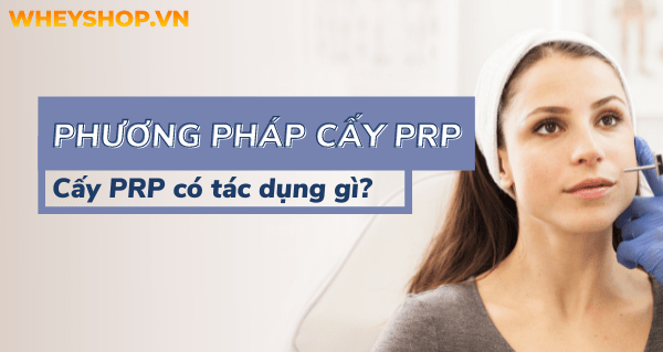 Phương pháp cấy PRP là gì? Cấy PRP có tác dụng gì?