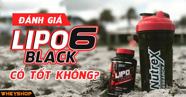 Review đánh giá Lipo 6 có tốt không? Cách sử dụng Lipo 6 giảm cân hiệu quả