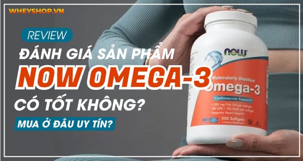 Review đánh giá Now Omega-3 có tốt không? Mua ở đâu uy tín?