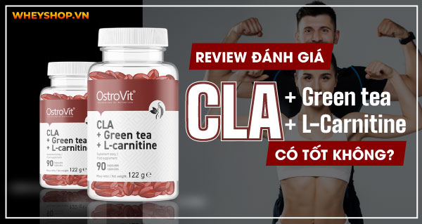 Review đánh giá Ostrovit CLA + Green tea + L-Carnitine có tốt không?
