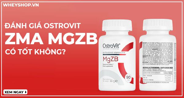 Review đánh giá Ostrovit MgZB có tốt không?