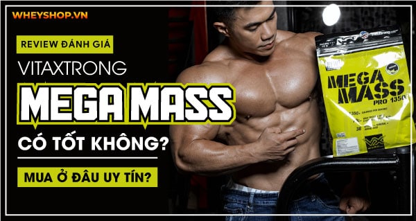 Review đánh giá VitaXtrong Mega Mass có tốt không? Mua ở đâu uy tín