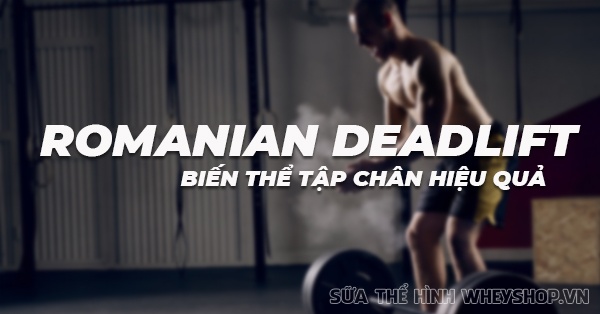 Romanian Deadlift – Biến thể tập chân hiệu quả của Deadlift