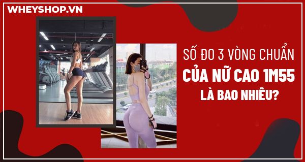 Số đo 3 vòng chuẩn của nữ cao 1m55 là bao nhiêu?