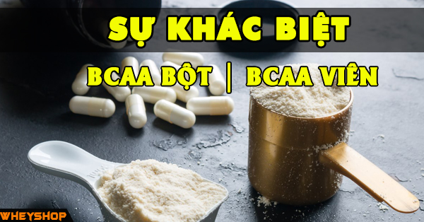 Sự khác biệt giữa BCAA dạng bột và BCAA dạng viên