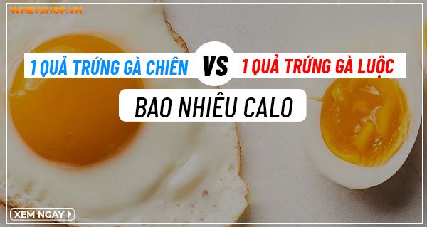 1 quả trứng gà bao nhiêu calo? Ăn trứng gà có mập không?