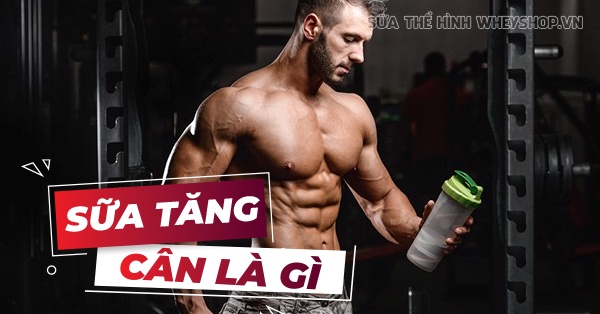Sữa tăng cơ là gì? Tìm hiểu chi tiết về sữa tăng cơ cho người tập gym